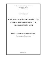 Bước đầu nghiên cứu phân loại chi đại thư (hemiboea c  b  clarke) ở việt nam 