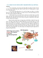 Lựa chọn statin trong điều trị rối loạn lipid máu
