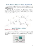 Một số thông tin về sử dụng colistin trong điều trị