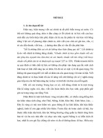 Lỗi chính tả tiếng việt của học sinh dân tộc mông tại huyện điện biên đông, tỉnh điện biên 