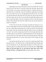 Một số giải pháp mở rộng hoạt động cho vay tiêu dùng tại ngân hàng TMCP công thương việt nam – chi nhánh hà tĩnh 