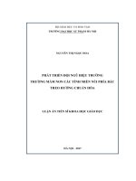 Phát triển đội ngũ hiệu trưởng trường mầm non các tỉnh miền núi phía Bắc theo hướng chuẩn hóa (LA tiến sĩ)