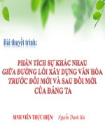 PHÂN TÍCH sự KHÁC NHAU GIỮA ĐƯỜNG lối xây DỰNG văn hóa TRƯỚC đổi mới và SAU đổi mới của ĐẢNG TA
