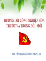 ĐƯỜNG lối CÔNG NGHIỆP hóa TRƯỚC và TRONG đổi  mới