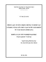 Phân lập, tuyển chọn chủng vi sinh vật có khả năng lên men tạo nước giải khát từ tảo xoắn spirulina 