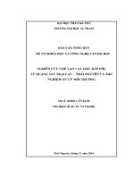 Nghiên cứu chế tạo vật liệu hấp phụ từ quặng sắt Trại Cau Thái Nguyên và thử nghiệm xử lý môi trường (Đề tài khoa học)
