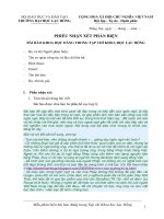 16 mau phieu nhan xet phan bien bai bao (1)