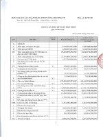 Báo cáo tài chính ngân hàng thương mại cổ phần công thương việt nam 2010 q1 hopnhat 