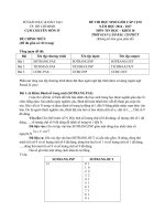 Đề thi HSG Tin học 11 cụm IV TPHCM 2016  2017