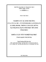 Nghiên cứu sinh trưởng của cây sa mu – cunninghamia lanceolata (lamb ) hook  trồng làm giàu rừng tại trạm đa dạng sinh học mê linh – vĩnh phúc 