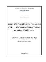 Buớc đầu nghiên cứu phân loại chi vi lường (microtropis wall  ex meisn ) ở việt nam 