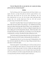 Bằng hiểu biết của anh (chị) hãy nêu và phân tích những giá trị cơ bản của văn hóa tộc người?