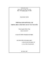 Thời đại Kim khí Đắk Lắk trong bối cảnh tiền sơ sử Tây Nguyên (LA tiến sĩ)