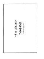 40 de on luyen Tieng Viet cuối cap tieu hoc