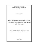 Phát triển kĩ năng dạy học cơ bản cho giáo viên trung học phổ thông mới vào nghề (LA tiến sĩ)
