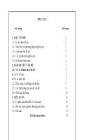 SKKN: Lồng ghép giáo dục bảo vệ môi trường trong dạy học môn địa lý