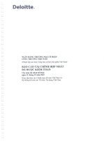 Báo cáo tài chính ngân hàng thương mại cổ phần công thương việt nam 2012 hopnhat 