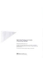 Báo cáo tài chính ngân hàng thương mại cổ phần công thương việt nam 2010 