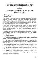 Quy trình kỹ thuật nuôi ong nội, nuôi bò thịt, nuôi ba ba thương phẩm1 