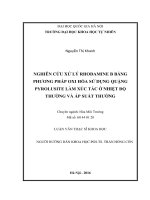 Nghiên cứu xử lý Rhodamine B bằng phương pháp oxi hóa sử dụng quặng pyrolusite làm xúc tác ở nhiệt độ thường và áp suất thường