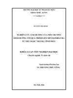 Nghiên cứu ảnh hưởng của môi trường dinh dưỡng tới quá trình lên men kombucha từ trà ngọc thanh, vĩnh phúc 