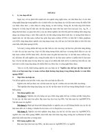 Nghiên cứu chế tạo vật liệu nano lai trên cơ sở hạt nano bạc và nano carbon định hướng ứng dụng trong kháng khuẩn và cảm biến quang SERS tóm tắt luận án