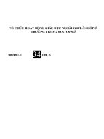 Tổ Chức Hoạt Động Giáo Dục Ngoài Giờ Lên Lớp Ở Trường Trung Học Cơ Sở