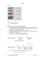 Đáp án thi học kì môn Bao bì (Trường đại học sư phạm kĩ thuật TP.HCM)
