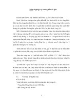 GIỚI THIỆU VÀ TÌM HIỂU NHỮNG ĐẶC ĐIỂM CƠ BẢN, GIÁ TRỊ ĐẶC HỮU CỦA HỆ THỐNG CÁC ĐẢO VÀ QUẦN ĐẢO Ở NƯỚC TA