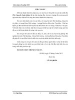 Nghiên cứu xử lý phốt phát trong nước bằng vật liệu fe nano