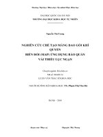 Nghiên cứu chế tạo màng bao gói khí quyển biến đổi (MAP) ứng dụng để bảo quản vải thiều Lục Ngạn