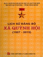Lịch sử đảng bộ xã quỳnh hội tập một 