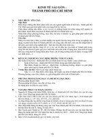 tai liệu kinh tế thành phố hồ chí minh