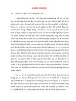 Phân tích tình hình tài chính tại Công ty Cổ phần Thuốc lá và Thực phẩm Bắc Giang