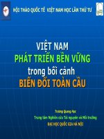 Phát triển bền vững ở Việt nam trong bối cảnh biến đổi khí hậu toàn cầu