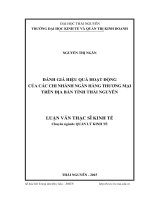 Đánh giá hiệu quả hoạt động của các chi nhánh ngân hàng thương mại trên địa bàn tỉnh thái nguyên 