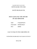 Phân cụm đa mục tiêu mờ cho dữ liệu định danh