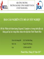 Phân tích hàm lượng eugenol, camphor có trong tinh dầu cây húng quế tại các vùng khác nhau trên địa bàn tỉnh thanh hóa 