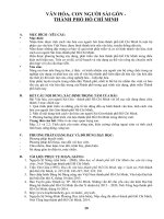 van hoa thanh pho ho chi minh