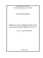 Nghiên cứu sử dụng hidroxit nhôm Tân Rai hoạt hóa trong quá trình sản xuất PAC  Luận văn ThS. Kỹ thuật hoá học, vật liệu, luyện kim và môi trường