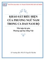 KHẢO SÁT BIỂU HIỆN CỦA PHƯƠNG NGỮ NAM TRONG CA DAO NAM BỘ