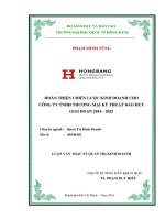 HOÀN THIỆN CHIẾN LƯỢC KINH DOANH CHO CÔNG TY TNHH THƯƠNG MẠI KỸ THUẬT BẢO HUY GIAI ĐOẠN 2016-2025