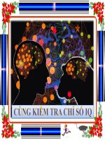 TRÒ CHƠI TRÍ TUỆ HAY VÀ CHUẨN NHẤT