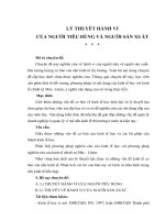 TÀI LIỆU THAM KHẢO   CHUYÊN đề KINH tế CHÍNH TRỊ SAU đại HỌC   LÝ THUYẾT HÀNH VI CỦA NGƯỜI TIÊU DÙNG VÀ NGƯỜI SẢN XUẤT