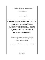 Khoá luận tốt nghiệp Nghiên cứu ảnh hưởng của mật độ trồng đến sinh trưởng và năng suất ớt Hotchilli trồng vụ đông 2015 tại Cao Minh, Phúc Yên, Vĩnh Phúc