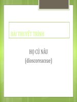 Họ củ nâu (DIOSCOREACEAE)