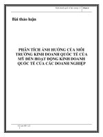 Phân tích ảnh hưởng của môi trường kinh doanh quốc tế của mỹ đến hoạt động kinh doanh quốc tế của các doanh nghiệp