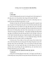 TÀI LIỆU THAM KHẢO   CHUYÊN đề KINH tế CHÍNH TRỊ SAU đại HỌC, CUNG cầu VÀ cân BẰNG THỊ TRƯỜNG
