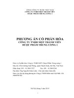 Phương Án Cổ Phần Hóa Công Ty Tnhh Một Thành Viên Dược Phẩm Trung Ương 1