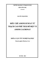 Khoá luận tốt nghiệp Điều chế amoni sunfat từ thạch cao phế thải bó bột và amoni cacbonat